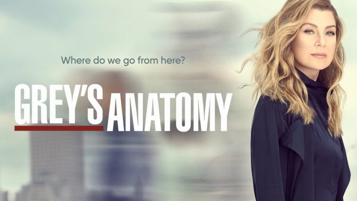 Grey’s Anatomy Season 18 Episode 13