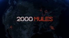 2000 Mules D’Souza Media full movie watch online, release date